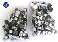 Piala Titanium Untuk PDC